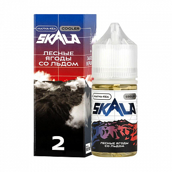 Ар SKALA ULTRA SALT Мауна-Кеа / Лесные ягоды со льдом 30-20